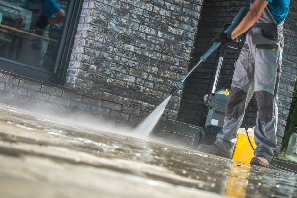 Best Pre-Holiday Cleaning  in Linden, AL